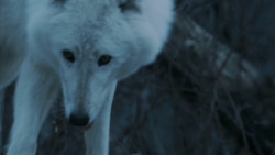 extant_GameOfThrones_7x02-Stormborn_4825