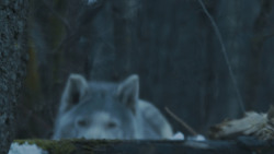 extant_GameOfThrones_7x02-Stormborn_4827