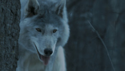 extant_GameOfThrones_7x02-Stormborn_4828