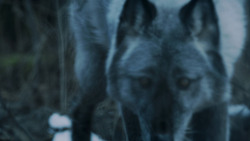 extant_GameOfThrones_7x02-Stormborn_4831