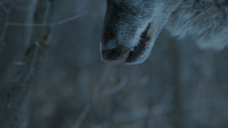 extant_GameOfThrones_7x02-Stormborn_4836