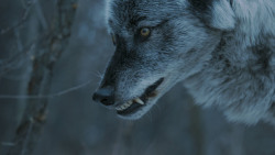 extant_GameOfThrones_7x02-Stormborn_4837