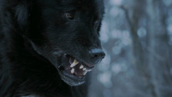 extant_GameOfThrones_7x02-Stormborn_4838