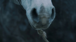 extant_GameOfThrones_7x02-Stormborn_4839