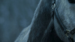 extant_GameOfThrones_7x02-Stormborn_4841