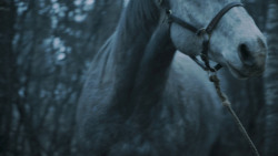 extant_GameOfThrones_7x02-Stormborn_4842