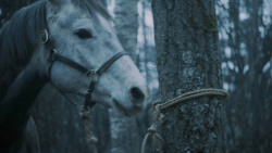 extant_GameOfThrones_7x02-Stormborn_4843