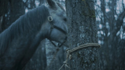 extant_GameOfThrones_7x02-Stormborn_4844