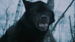 extant_GameOfThrones_7x02-Stormborn_4845