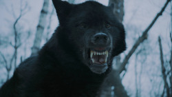 extant_GameOfThrones_7x02-Stormborn_4846