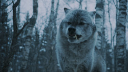 extant_GameOfThrones_7x02-Stormborn_4848