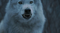 extant_GameOfThrones_7x02-Stormborn_4850