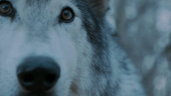 extant_GameOfThrones_7x02-Stormborn_4917