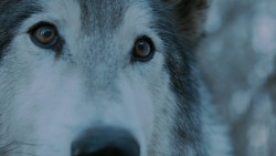 extant_GameOfThrones_7x02-Stormborn_4918