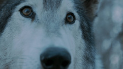 extant_GameOfThrones_7x02-Stormborn_4919