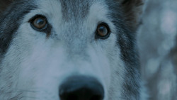 extant_GameOfThrones_7x02-Stormborn_4920