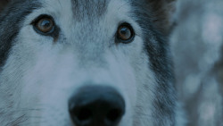 extant_GameOfThrones_7x02-Stormborn_4921