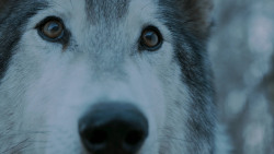 extant_GameOfThrones_7x02-Stormborn_4922