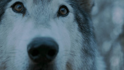 extant_GameOfThrones_7x02-Stormborn_4923