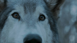 extant_GameOfThrones_7x02-Stormborn_4929