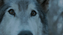extant_GameOfThrones_7x02-Stormborn_4931