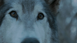 extant_GameOfThrones_7x02-Stormborn_4932