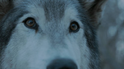 extant_GameOfThrones_7x02-Stormborn_4933