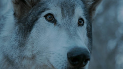 extant_GameOfThrones_7x02-Stormborn_4971