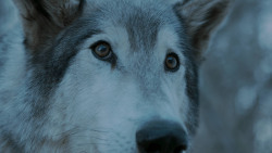 extant_GameOfThrones_7x02-Stormborn_4972