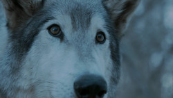 extant_GameOfThrones_7x02-Stormborn_4973