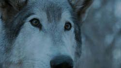 extant_GameOfThrones_7x02-Stormborn_4974