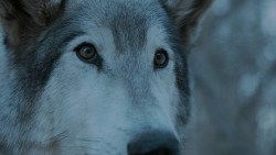 extant_GameOfThrones_7x02-Stormborn_4975