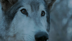 extant_GameOfThrones_7x02-Stormborn_4976