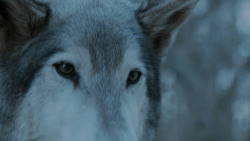 extant_GameOfThrones_7x02-Stormborn_4978