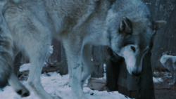 extant_GameOfThrones_7x02-Stormborn_4981