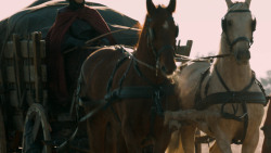 extant_GameOfThrones_7x04-TheSpoilsOfWar_0016