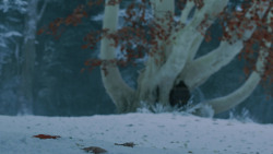 extant_GameOfThrones_7x04-TheSpoilsOfWar_1542