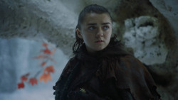 extant_GameOfThrones_7x04-TheSpoilsOfWar_1683