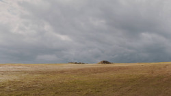 extant_GameOfThrones_7x04-TheSpoilsOfWar_3903