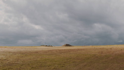 extant_GameOfThrones_7x04-TheSpoilsOfWar_3914
