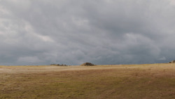 extant_GameOfThrones_7x04-TheSpoilsOfWar_3918