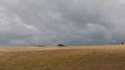 extant_GameOfThrones_7x04-TheSpoilsOfWar_3920