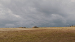 extant_GameOfThrones_7x04-TheSpoilsOfWar_3921