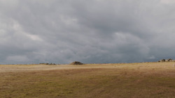 extant_GameOfThrones_7x04-TheSpoilsOfWar_3925