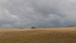 extant_GameOfThrones_7x04-TheSpoilsOfWar_3926