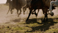 extant_GameOfThrones_7x04-TheSpoilsOfWar_3929