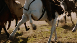 extant_GameOfThrones_7x04-TheSpoilsOfWar_3930