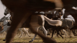 extant_GameOfThrones_7x04-TheSpoilsOfWar_3935