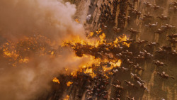 extant_GameOfThrones_7x04-TheSpoilsOfWar_4099