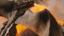 extant_GameOfThrones_7x04-TheSpoilsOfWar_4227